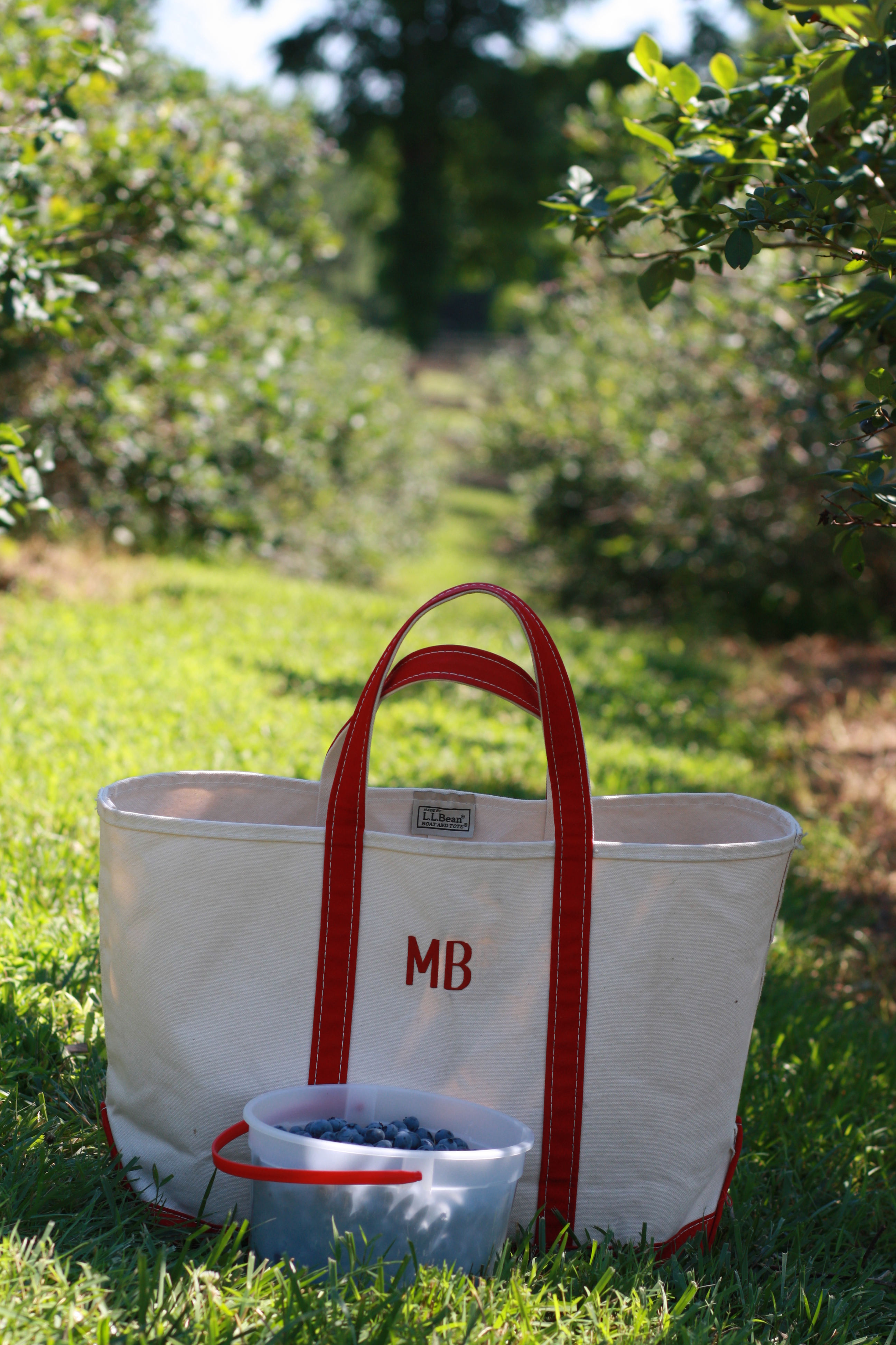 LL Bean extra large red boat and tote bag, blueberry picking