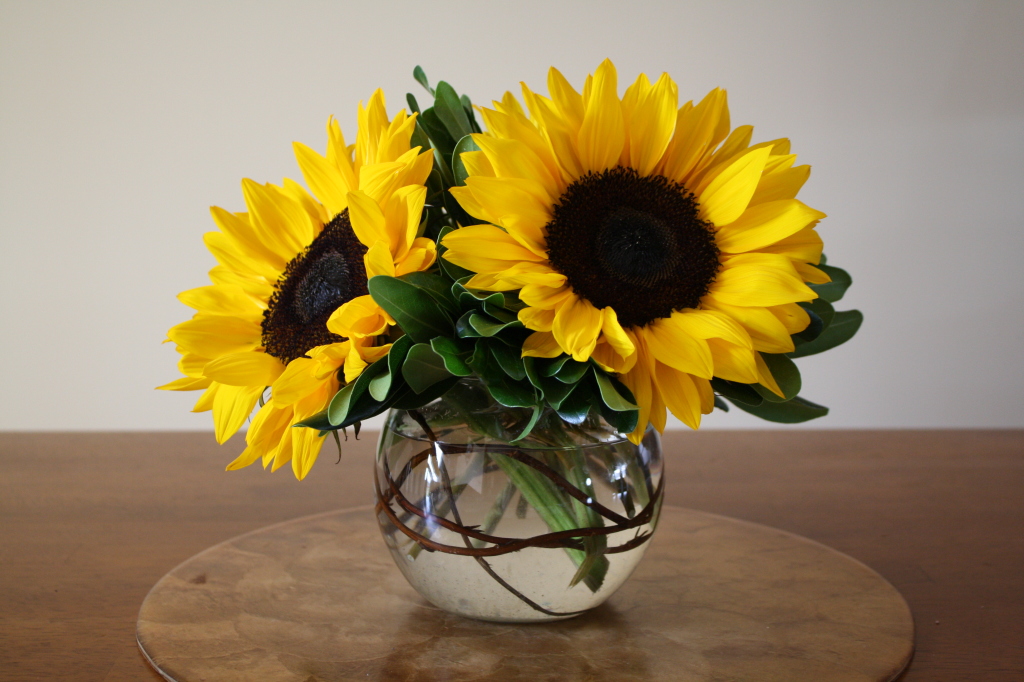 { Friday Five: Sunflower bouquet, Brahmin Instagram prize, In Style ...