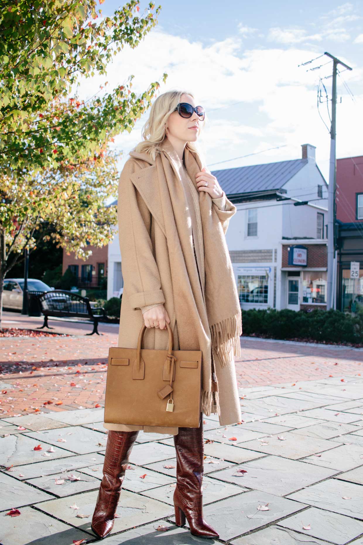 Meagan Brandon fashion blogger of Meagan's Moda wears Max Mara camel coat  with Louis Vuitton Dauphine MM bag - Meagan's Moda